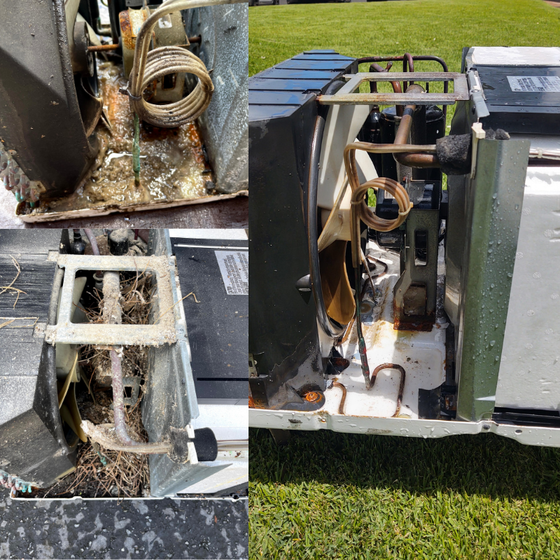 Phase 3: Drainage and Clearing